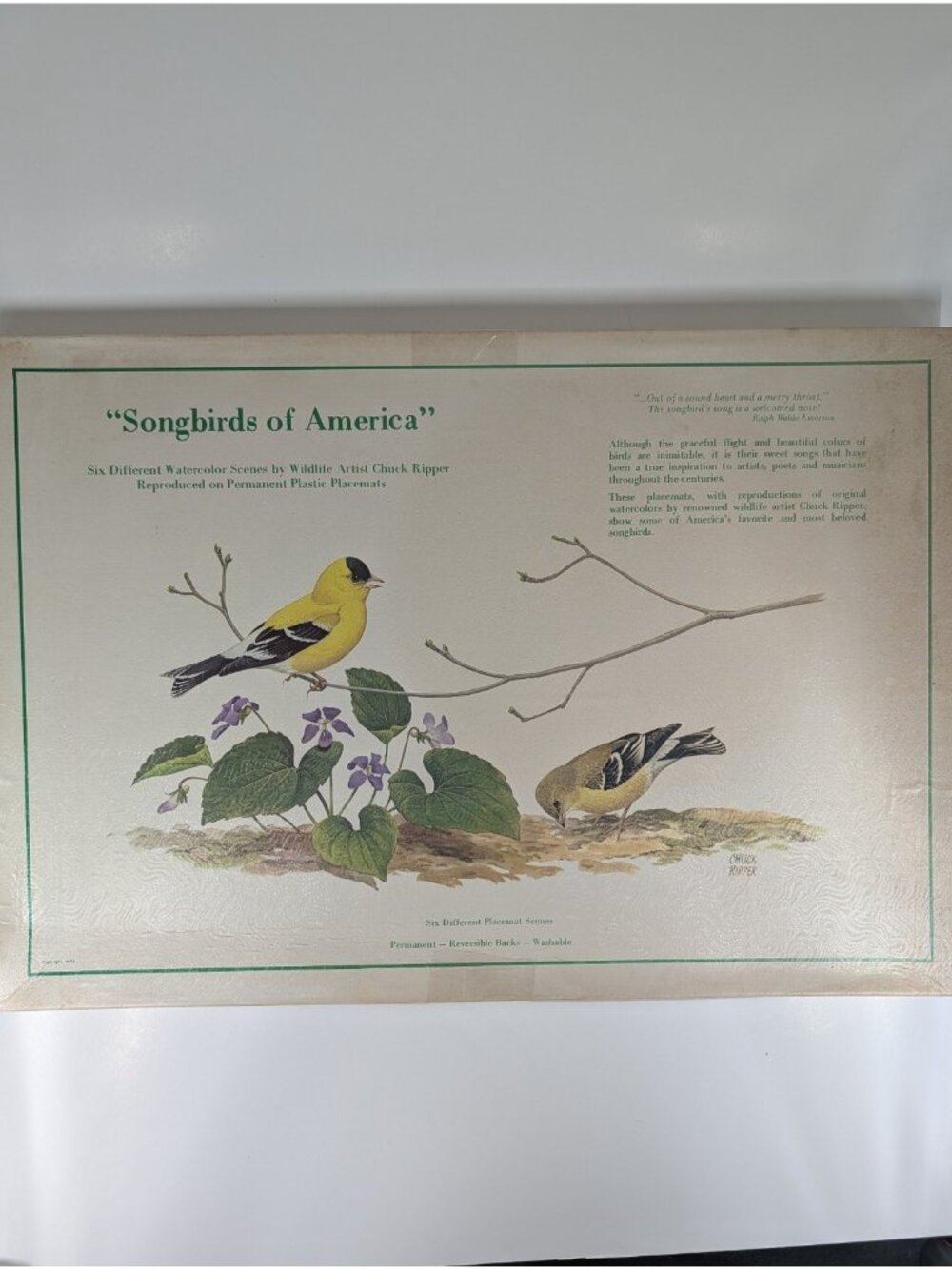 Vintage Songbirds of America Placemats Set Wildlife Chuck Ripper Bird Art